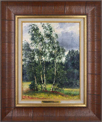 Березки у пруда